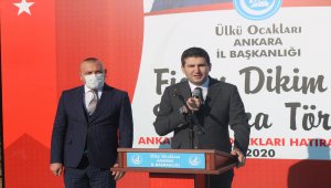 Ülkü Ocaklarından fidan dikim seferberliği