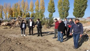 Yalıhüyük'te belediye hizmet binası yanındaki araziye lavanta ekilecek