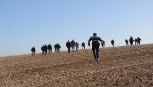 Yozgat'ta jandarma arazide avcılarca vurulduğu iddia edilen "yakalı toy" kuşunu aradı 