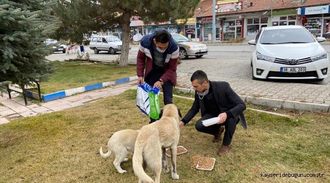 AK Parti Tomarza İlçe Başkanlığı sokak hayvanlarını unutmadı