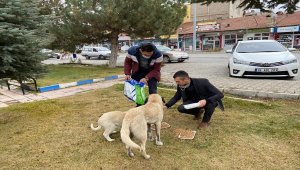 AK Parti Tomarza İlçe Başkanlığı sokak hayvanlarını unutmadı