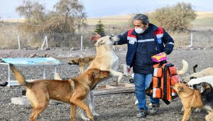 Başkentte hayvan barınaklarındaki "can dostlara" kuduz aşısı yapıldı