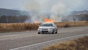 Beyşehir Gölü kenarındaki sazlık alanda yangın çıktı