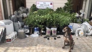 İzmir'de düzenlenen uyuşturucu operasyonunda 4 kişi yakalandı