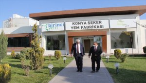 Konya Şeker'in yatırımlarıyla bölgede mısır üretimini artırıyor
