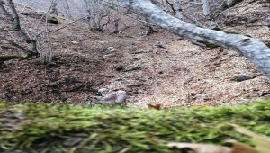 Sivas'ta komandolar soğuk havaya rağmen operasyonlarını sürdürüyor