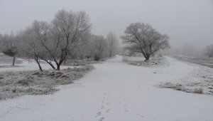 Sivas'ta sis ve kırağı etkili oldu