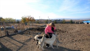 Sokak hayvanları için bahçeli ev kiralayıp beldeye yerleştiler
