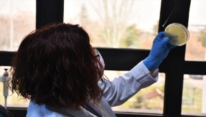 Akademisyen çift, Türkiye'nin ilk mRNA aşısı için ter döküyor