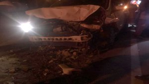 Aksaray'da otomobil koyun sürüsüne çarptı 2 kişi yaralandı