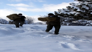 Ankara'da yaban hayvanları için doğaya yem bırakıldı