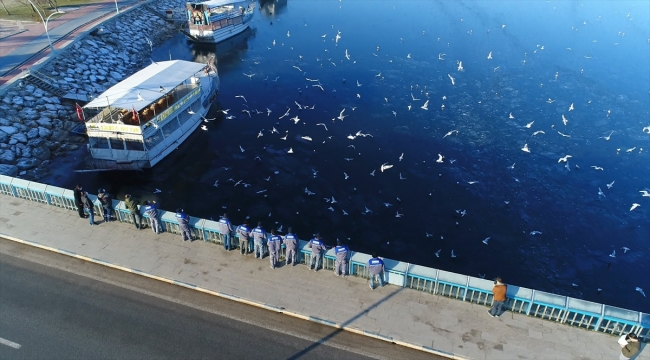 Belediye ekipleri Beyşehir Gölü'nde yaşam süren kuşları yem ve ekmekle besledi