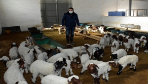 Devlet desteğiyle sürüsünü büyüterek süt sağım tesisi kurdu