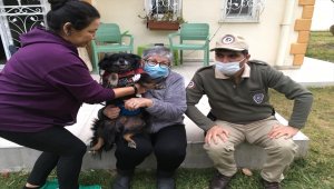 Eskişehir'de evin bahçesinden çalınan "Zeytin" adlı köpek bulundu