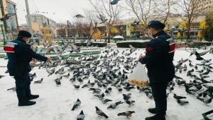 Eskişehir'de sokak hayvanları kısıtlamada unutulmadı