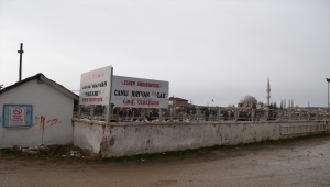 Ilgın'daki hayvan pazarı yeniden faaliyete açıldı