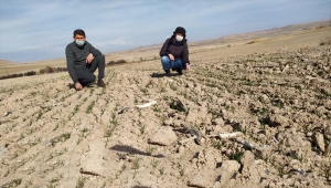 Kayseri'de "Yerli ve Milli Tohumun Ulaşamadığı Çiftçi Kalmasın Projesi"