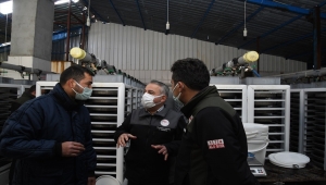 Kayseri Tarım ve Orman Müdürü Mustafa Şahin alabalık kuluçkahanelerini inceledi