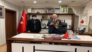 Kırıkkale'de çiftçinin bulduğu yaralı şahin tedaviye alındı