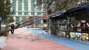 Kırıkkale, Kayseri, Kırşehir ile Niğde'de fırtına hayatı olumsuz etkiledi