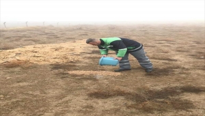 Kırşehir'de belediye ekipleri yaban hayatı için doğaya yiyecek ve yem bıraktı