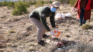 Kırşehir'de polis ekipleri, doğadaki yaban hayvanlarına yem bıraktı