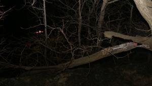 Konya'da 4 noktada örtü ve bahçe yangını 