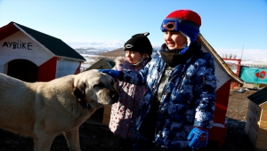 MHP Ankara İl Başkanlığı sokak hayvanları için kampanya başlattı