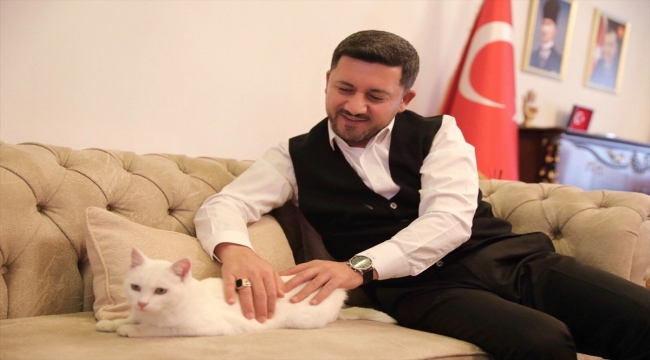 Nevşehir Belediye Başkanı Rasim Arı'nın sahiplendiği kediye belediyede bakılacak