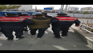 Niğde'de 2 hırsızlık şüphelisi tutuklandı