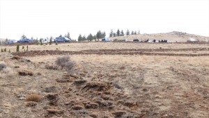 Niğde'de hayvan otlatma kavgasında baba öldü, oğlu yaralandı