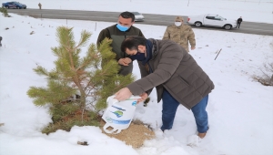 Sivas'ta yabani hayvanlar için doğaya yem bırakıldı