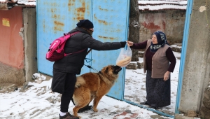Tesadüfen karşılaştığı 14 köpek yavrusunu beslemek için her gün 5 kilometre yürüyor