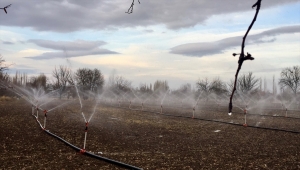 Türkiye'nin "tahıl ambarında" kuraklık nedeniyle çiftçiler sulamaya kış ortasında başladı