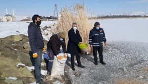 Ulaş Belediye Başkanı İlbey kuşlar için yem bıraktı
