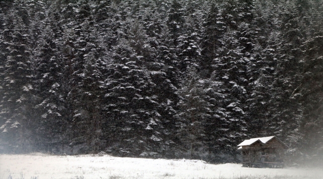 Yıldıztepe Kayak Merkezi kar yağışının ardından beyaza büründü
