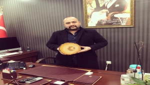 Yozgat Bozok Üniversitesi, gövdesinde "ay yıldız" figürü çıkan ağacı inceleyecek