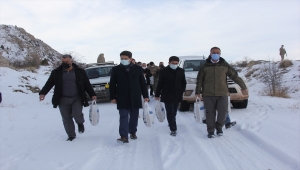 Zara'da yaban hayvanları için doğaya yem bırakıldı