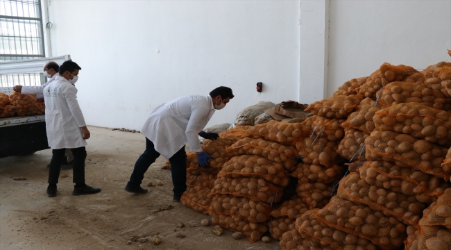 AK Partili belediyeler, çiftçiden aldıkları patatesi ihtiyaç sahiplerine dağıtacak