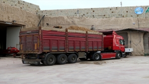 Belediyelerin taleplerini karşılamaya başlayan patates üreticisi sevinçli