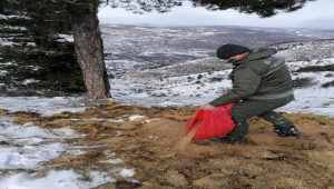 Beypazarı Milli Parklar Şefliği doğaya yem bıraktı