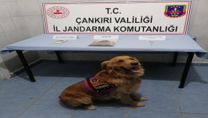 Çankırı'da uyuşturucu operasyonunda 4 şüpheli suçüstü yakalandı