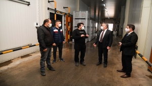 Elma üretiminin yüzde 6,7'si Kayseri'den karşılanıyor 