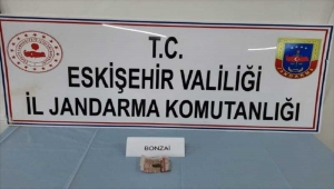 Eskişehir'deki uyuşturucu operasyonunda bir kişi yakalandı