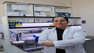 İklim değişikliği arıları olumsuz etkiliyor