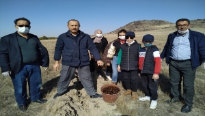 Karapınar'da Erozyon Sahası'na meşe palamudu ekildi