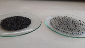 Kaşar peynirindeki küflenmeyi önleyecek proje hayata geçiriliyor