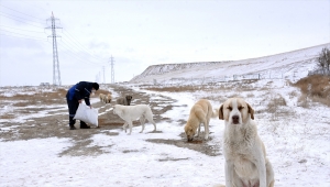 Konya Büyükşehir Belediyesi kar mesaisinde