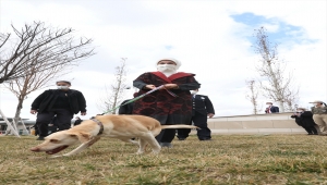 Külliye'deki atıklar geri dönüştürülerek sokak hayvanlarına "yuva" oldu