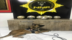 Niğde'de 14 kilo 450 gram esrarla yakalanan zanlı tutuklandı